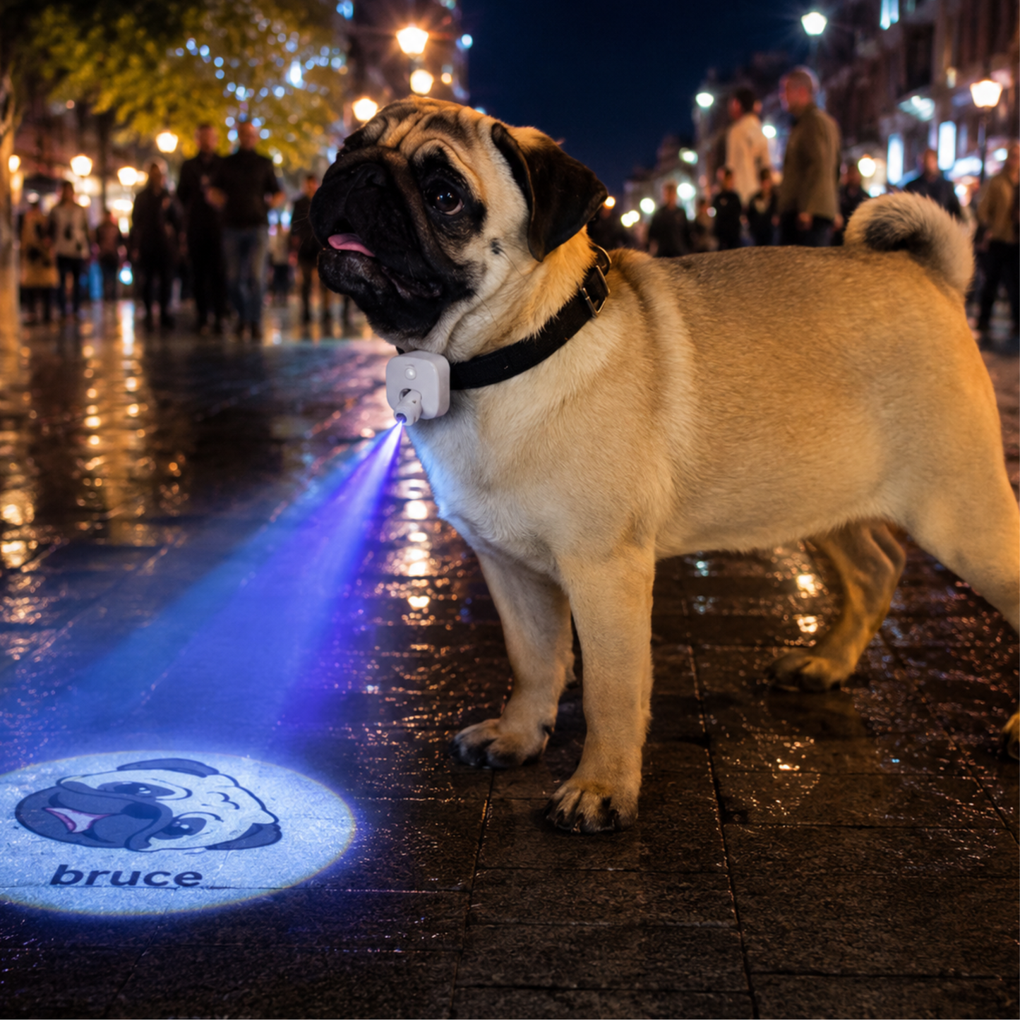 Custom Pet Collar Projector