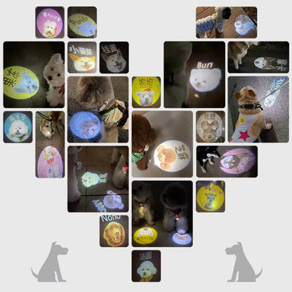 Outdoor Dog Social Lamp with OEM Picture Collar Projection Lamp for Night Walking