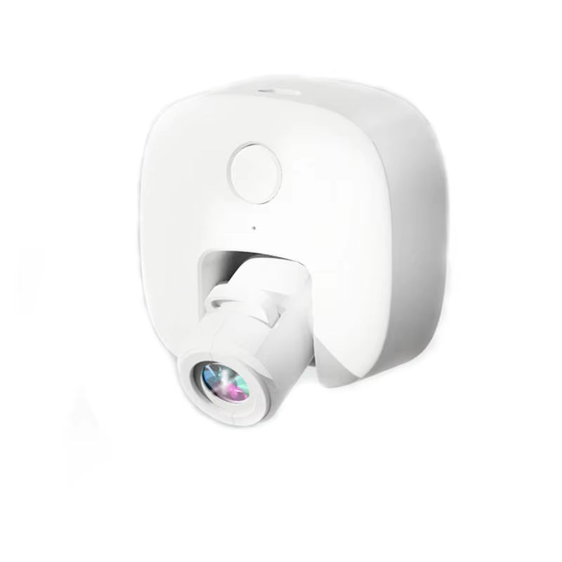 Outdoor Dog Social Lamp with OEM Picture Collar Projection Lamp for Night Walking