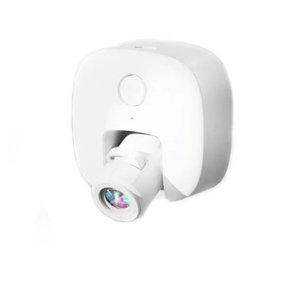 Outdoor Dog Social Lamp with OEM Picture Collar Projection Lamp for Night Walking